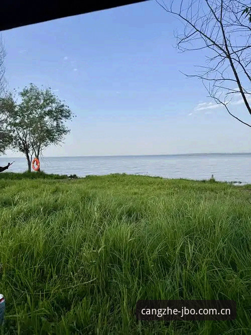 草皮上还挂着傍晚的水汽，伊斯特本中央球场的人声已经散了大半。我盯完最后一分，关掉JBO中文官方主页桌面上必备的赛事直播窗口，屏幕暗下去那一下，脑子里还留着迪亚洛那个反拍直线——压着边线，裁判都没来得及喊out，球已经弹起来砸在挡板上。